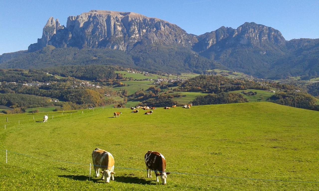 Dolomiti Auna di Sotto Exterior photo