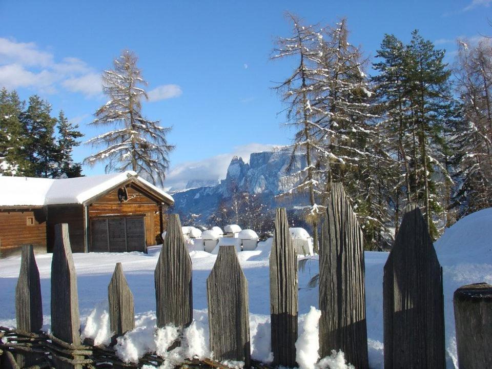 Dolomiti Auna di Sotto Exterior photo